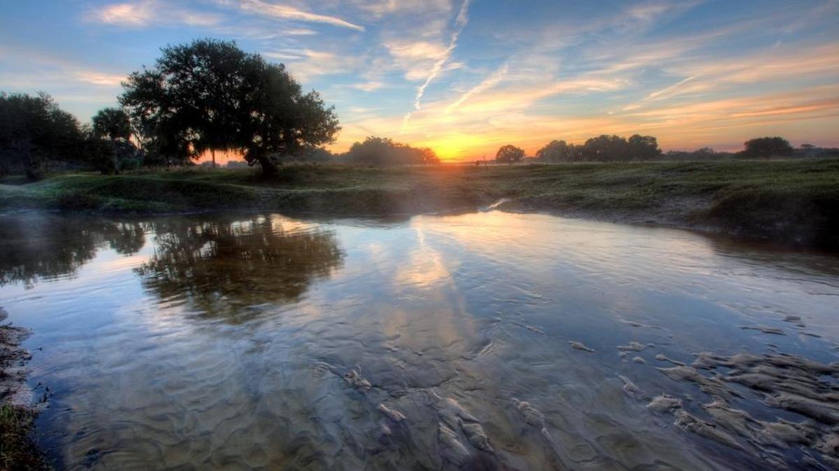 The Carlton Triangle Ranch near Myakka City.