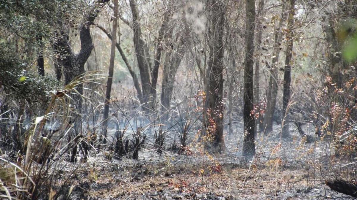 Low-lying smoke hung over a wooded area north of Duette Monday, following a plane crash Saturday that claimed two lives.