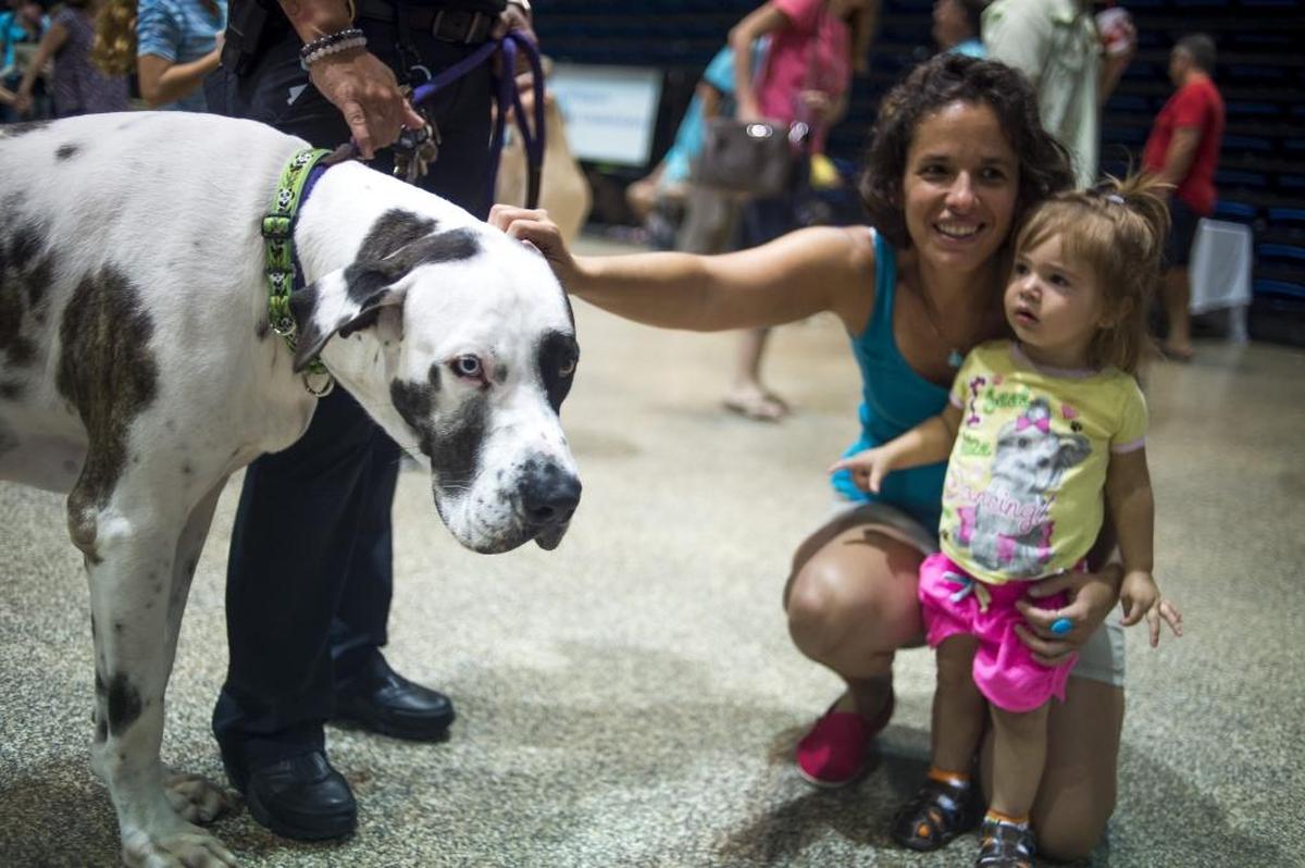 Caron Calvo and her daughter, Chloe Calvo, greet a large Great Dane during the 2017 Adopt-A-Palooza event, hosted by Manatee County Animal Services at the Bradenton Area Convention Center in Palmetto. This year’s event will feature more than 100 pets up for adoption from local shelters and rescues.