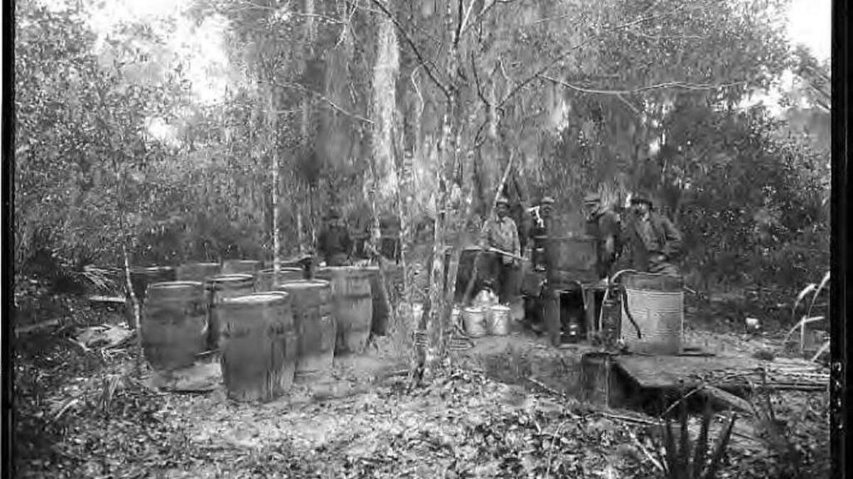 Armed men stand beside moonshine still, jugs and barrels in the woods near Riverview in 1920.