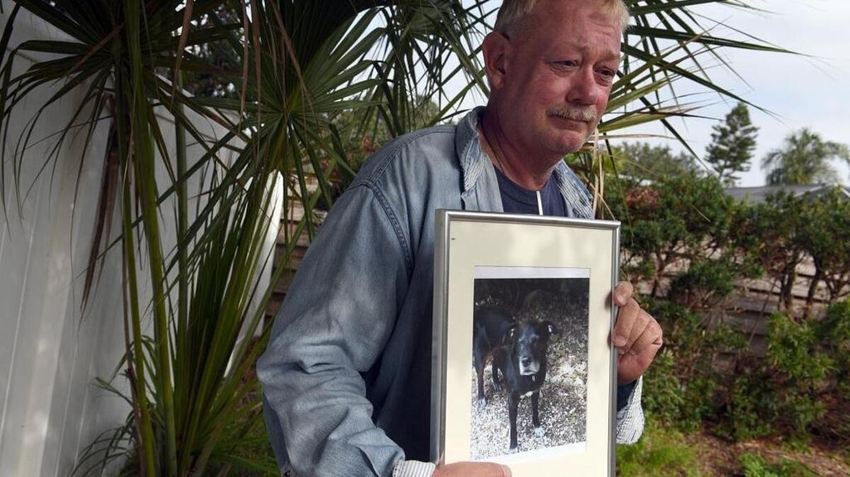 Matt Van Vranken had a dog, Boni, for 17 years before he was euthanized by Manatee County Animal Services before the five day hold for strays was up. His beloved black lab mix loved to run around the back yard, ride in Matt's pickup truck, and bark for his specially prepared breakfast.