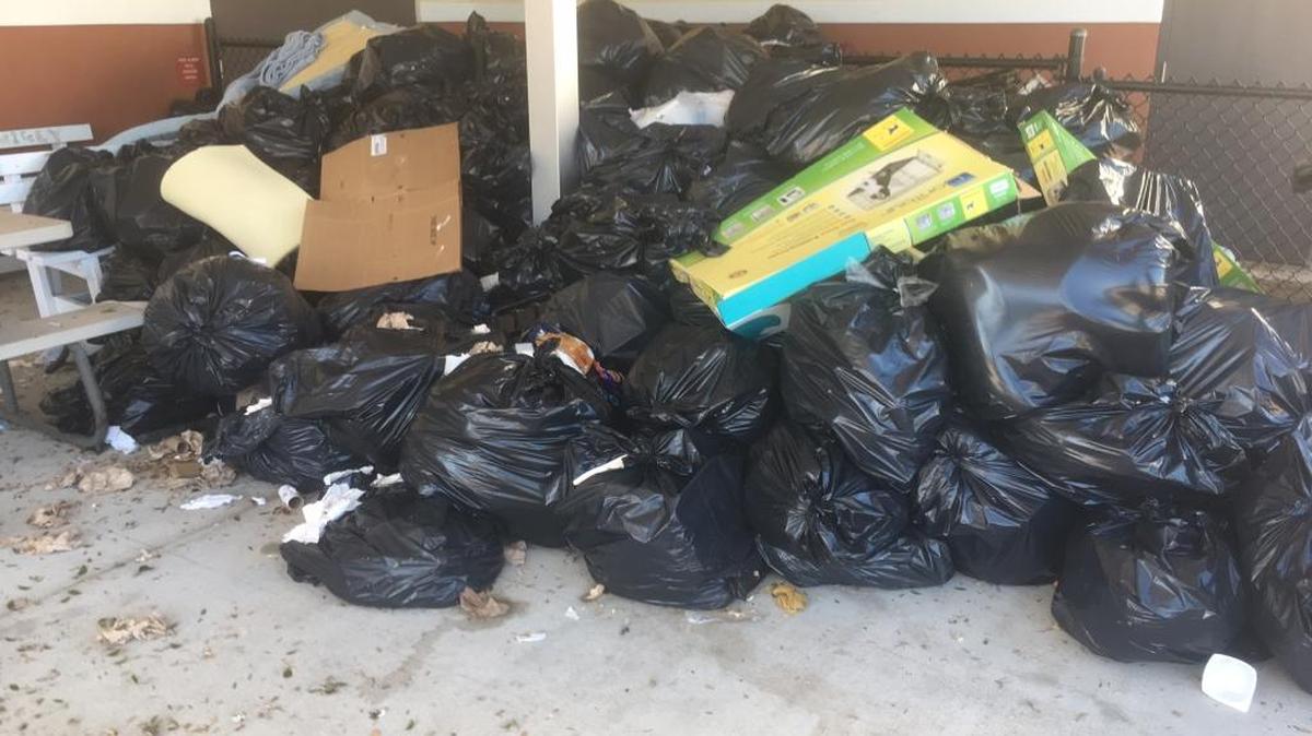 Bags of garbage sit in the rear of Virgil Mills Elementary School Wednesday waiting to be picked up. The district's garbage haulers have been overwhelmed since Hurricane Irma came through. Mills, which still didn’t have its power restored Wednesday, served as one of the district's 24 shelter schools.