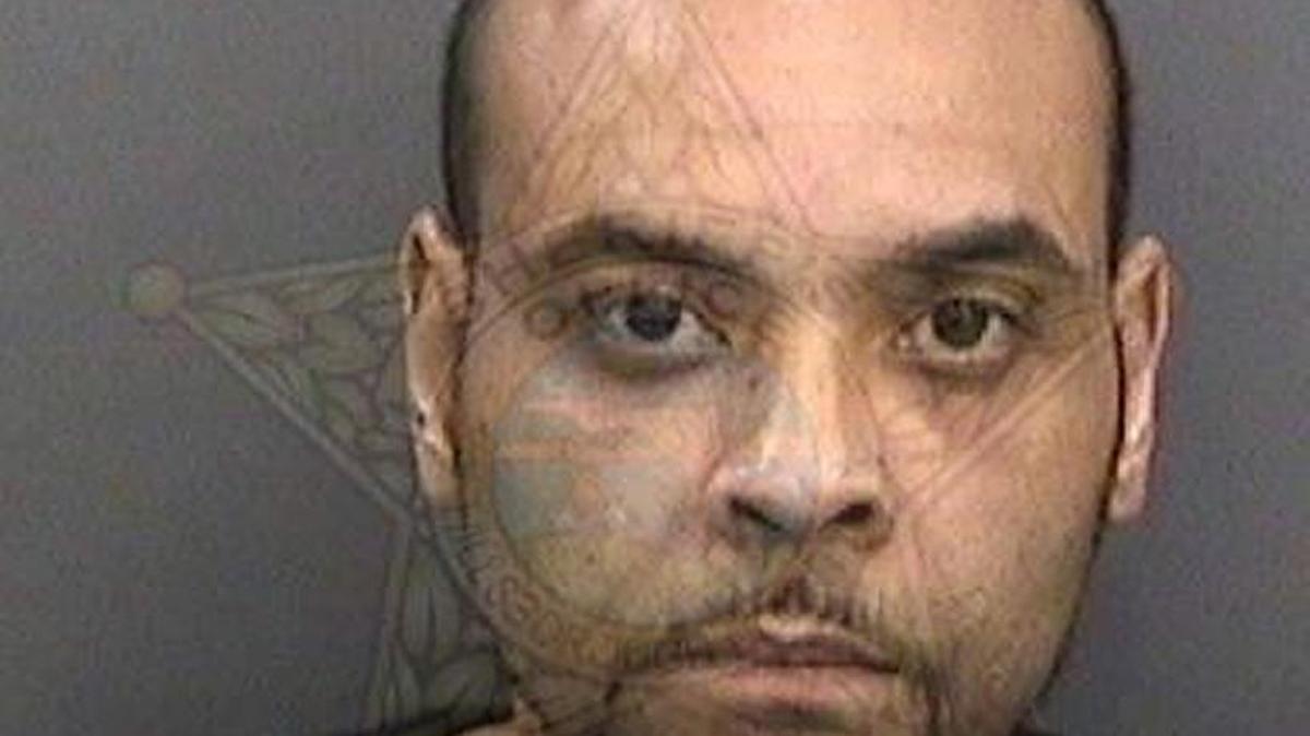 Nathan Hamilton, 39, was ID’d as the person who had died after jumping on cars naked on Dale Mabry Wednesday.