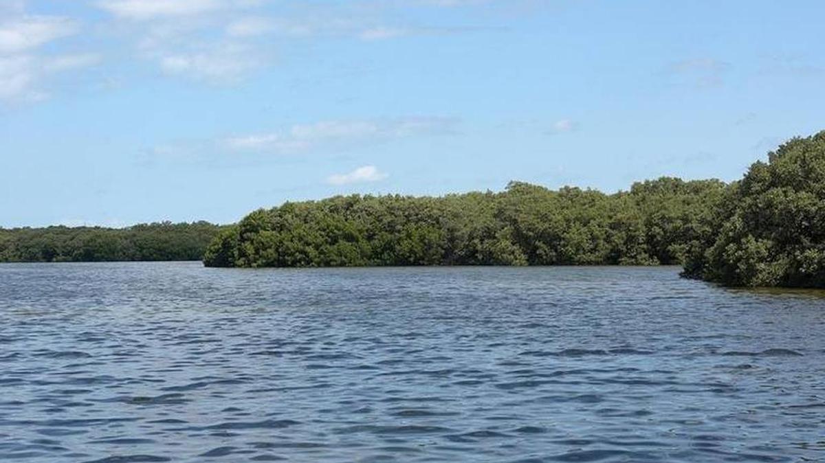 On Thursday, Manatee County Commission will consider Carlos Beruff’s Aqua by the Bay, seen here from the water — a proposed 2,894-home development on 529 acres between El Conquistador Parkway and Sarasota Bay, just at the south end of 53rd Avenue West.