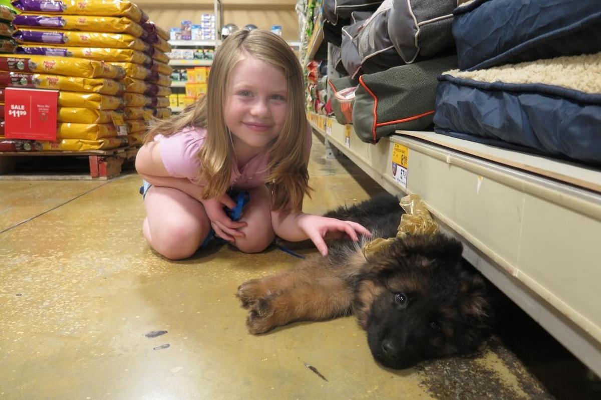 Rebekah Drew, 10, was diagnosed with Leukemia in 2014 and always dreamed of having her own German shepherd puppy. She had her wish granted on Thursday when the Children’s Dream Fund stepped in and surprised her with Teddy.