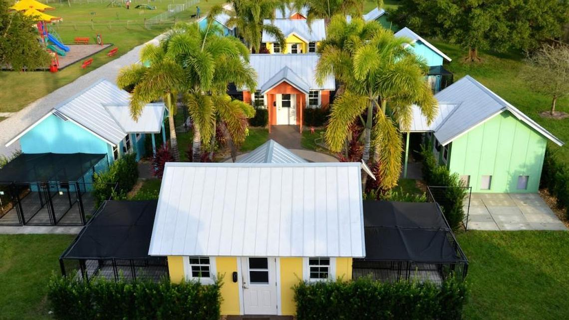 Parvo outbreak strikes at Manatee County animal rescue