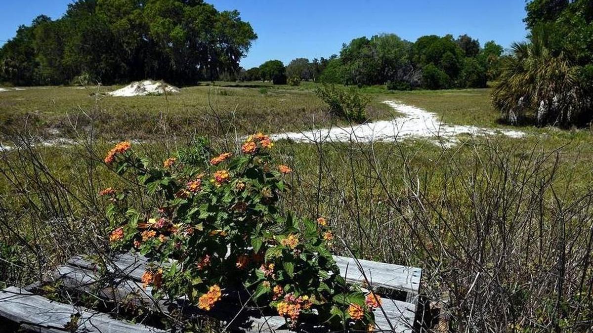 DEP is reviewing the final test results after a developer wanting to build homes on an old Palmetto golf course met the department’s final deadline.