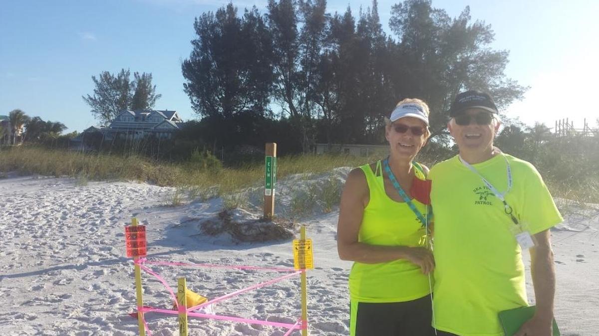 Joe and Sandy Richmond, coordinators for Anna Maria Island Turtle and Shorebird Monitoring, are all smiles after marking off a sea turtle nest discovered on Elm Street in Anna Maria on Mother’s Day. The first sea turtle nest of the season was discovered Friday and, by Sunday, eight nests had been discovered. Hatchlings emerge from the nests in 45 to 70 days.