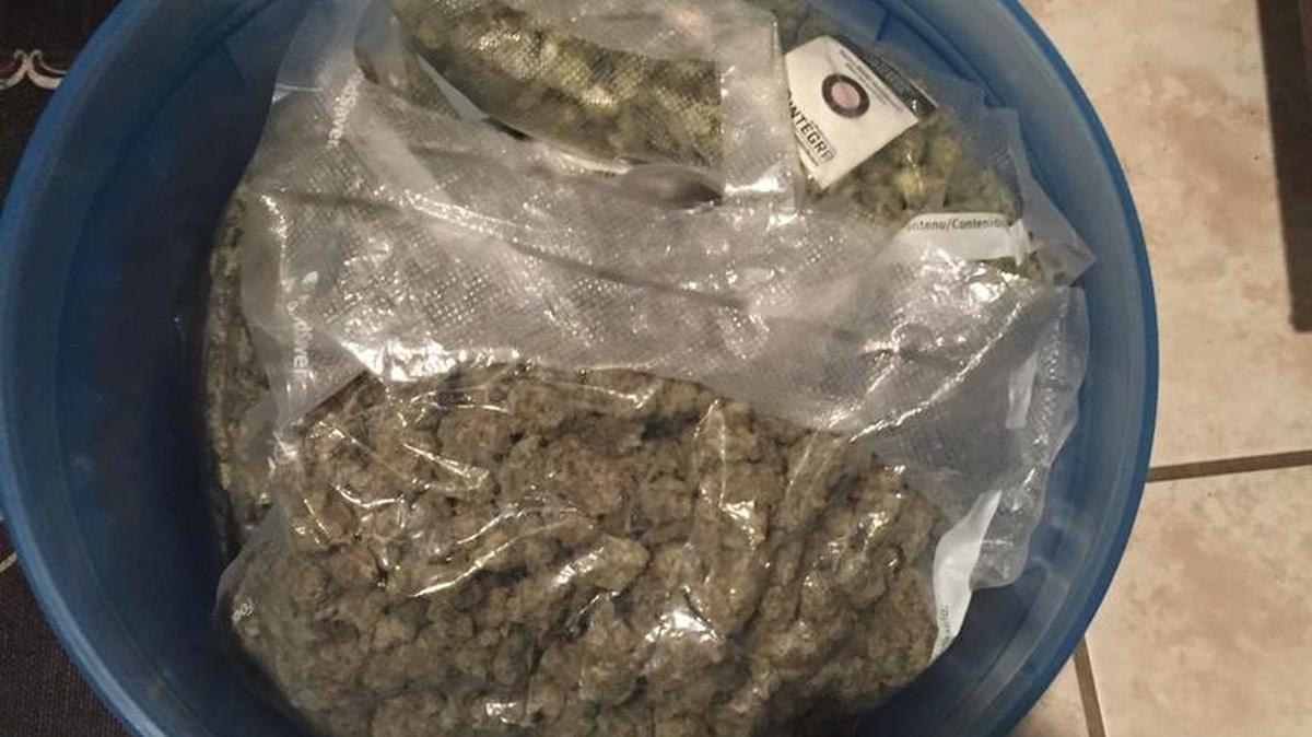 A search warrant revealed four pounds of marijuana as well as marijuana concentrate products in a Bradenton home Wednesday.