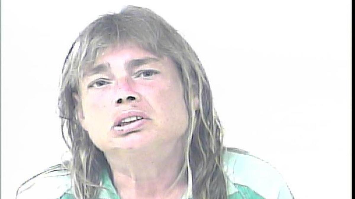 Debra Thomes, 49, is facing a prositution charge after soliciting an undercover officer, according to reports.
