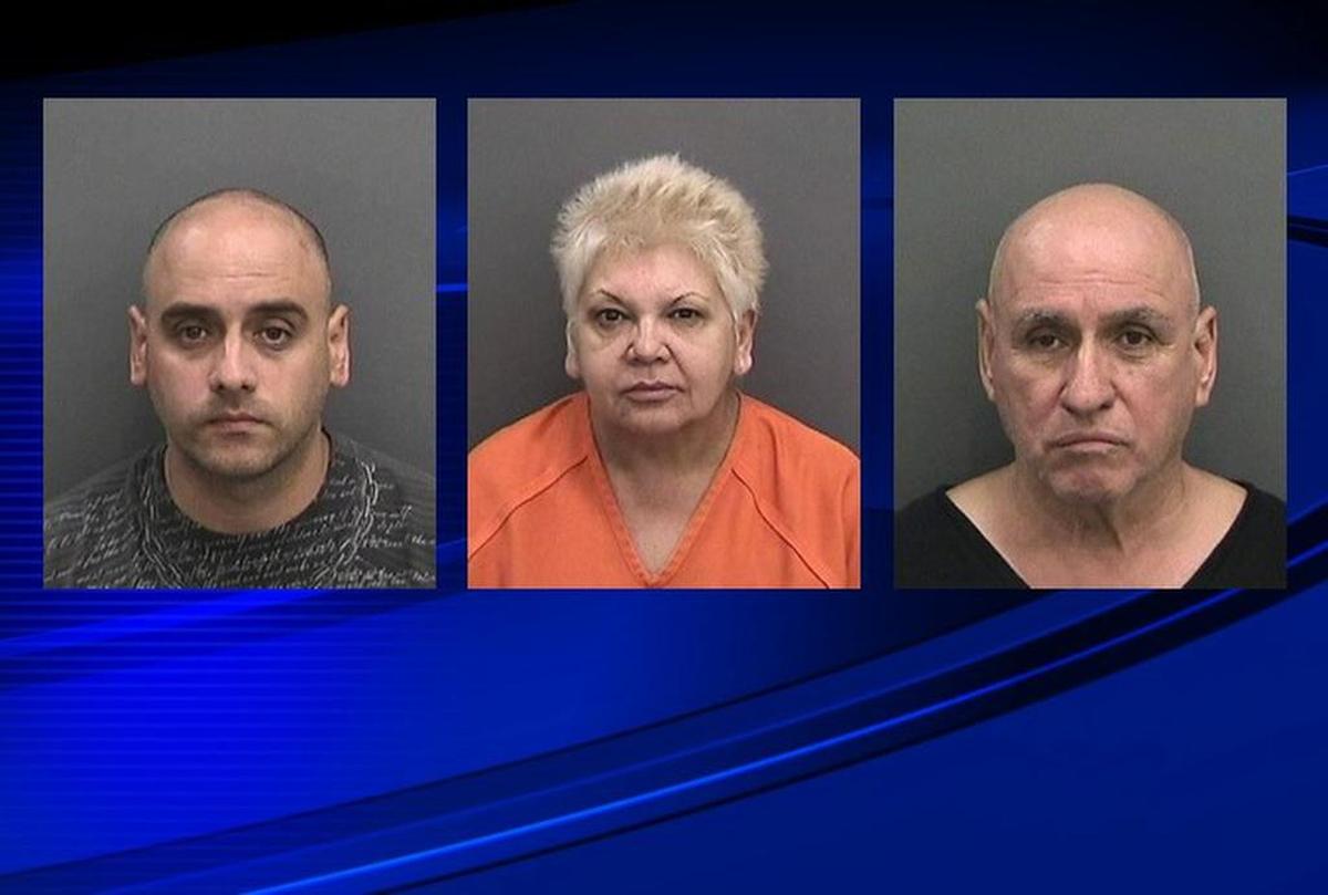 Ariel Fernandez, 41, Maritza Rondon, 60, and Ramon Fernandez, 66, all face multiple charges, including trafficking and cultivation of marijuana and electricity theft.