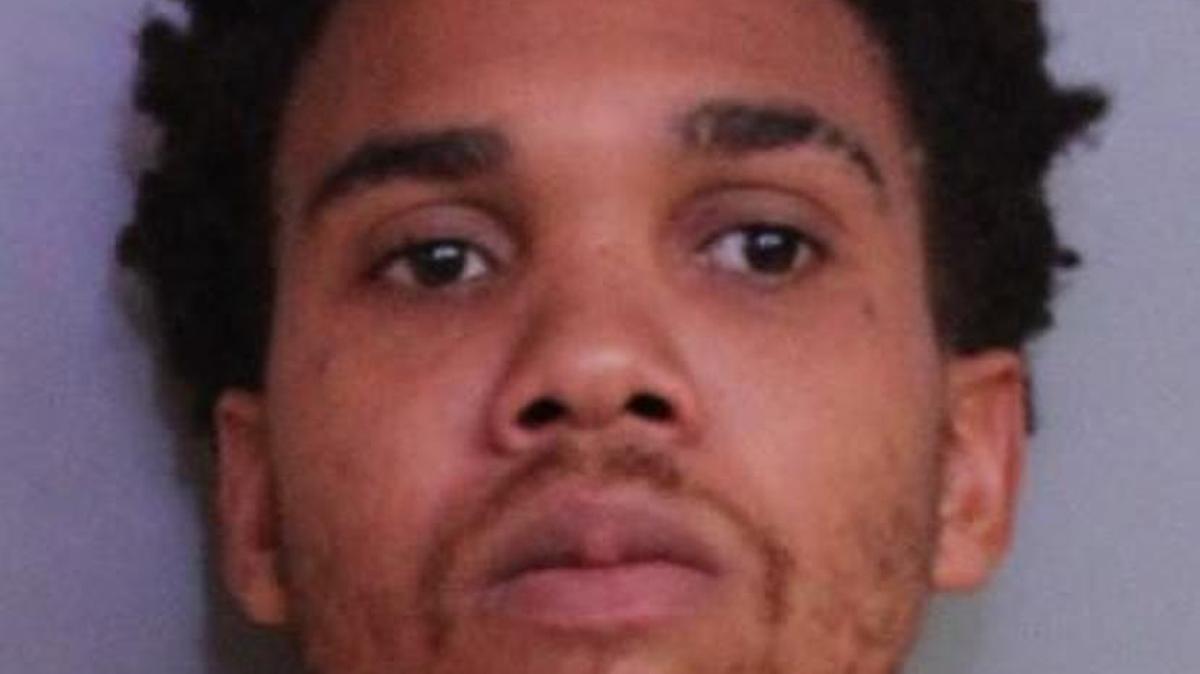 Irvin Robinson was charged with grand theft, grand theft of a firearm and probation violation.
