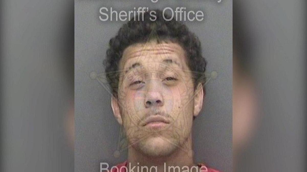 According to police, Luis Manual Vila was taken into custody Wednesday afternoon after a struggle near Himes Avenue and Ohio Avenue in Tampa. Vila has been charged with battery on a law enforcement officer, resisting arrest and burglary.