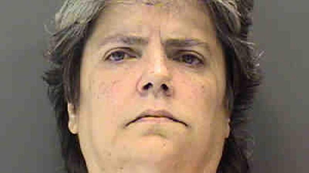 Stephanie Fetner, 47, of Bradenton, is charged with one count of child neglect.