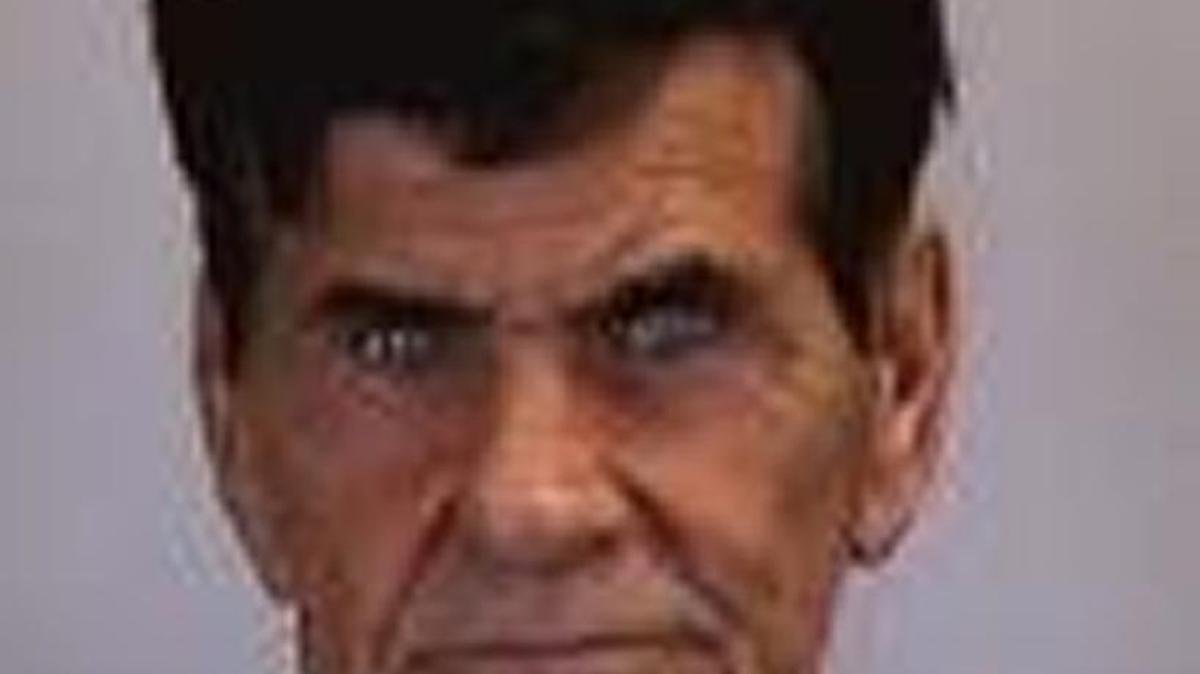 Albert Ferrell