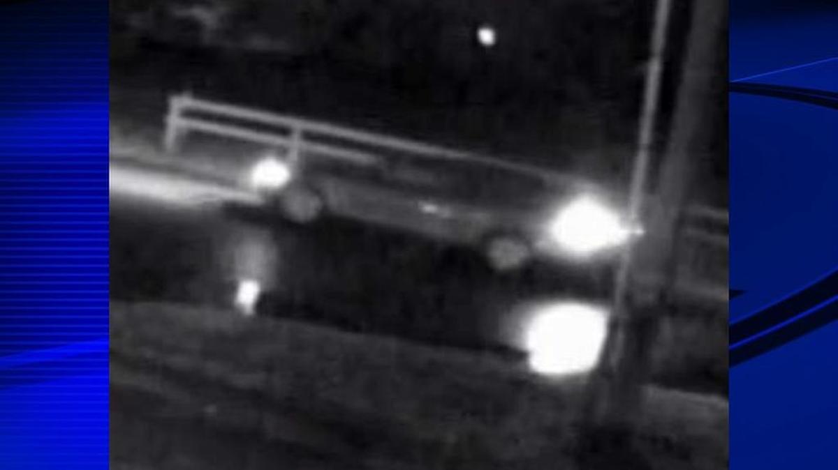 Polk County investigators say this sedan was seen near Guns Galore in Lakeland, where 46 guns were stolen early Sunday, Jan. 29, 2017. The gun store was burglarized just last month.