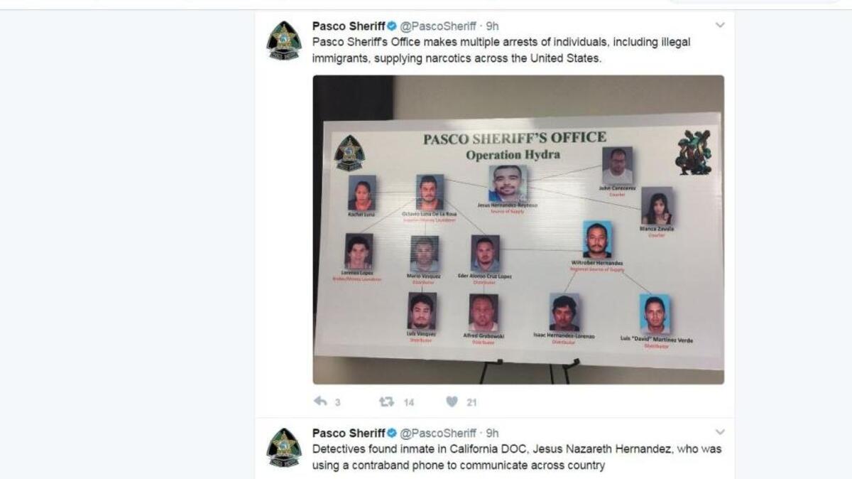 The Pasco County Sheriff’s Office announced the arrests of more than a dozen people in connection to a drug ring with international ties Tuesday.