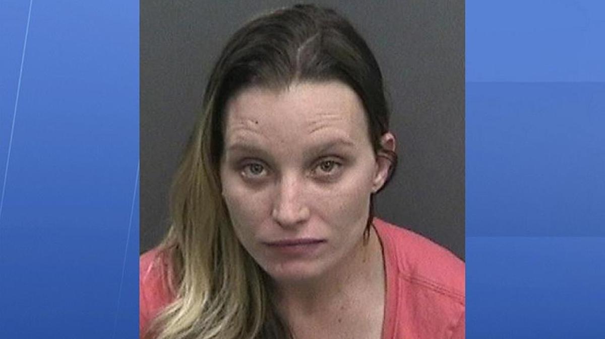 Brianna Dee Knox was charged with child endangerment, resisting arrest with violence, battery on a law enforcement officer, DUI and leaving the scene of a crash.