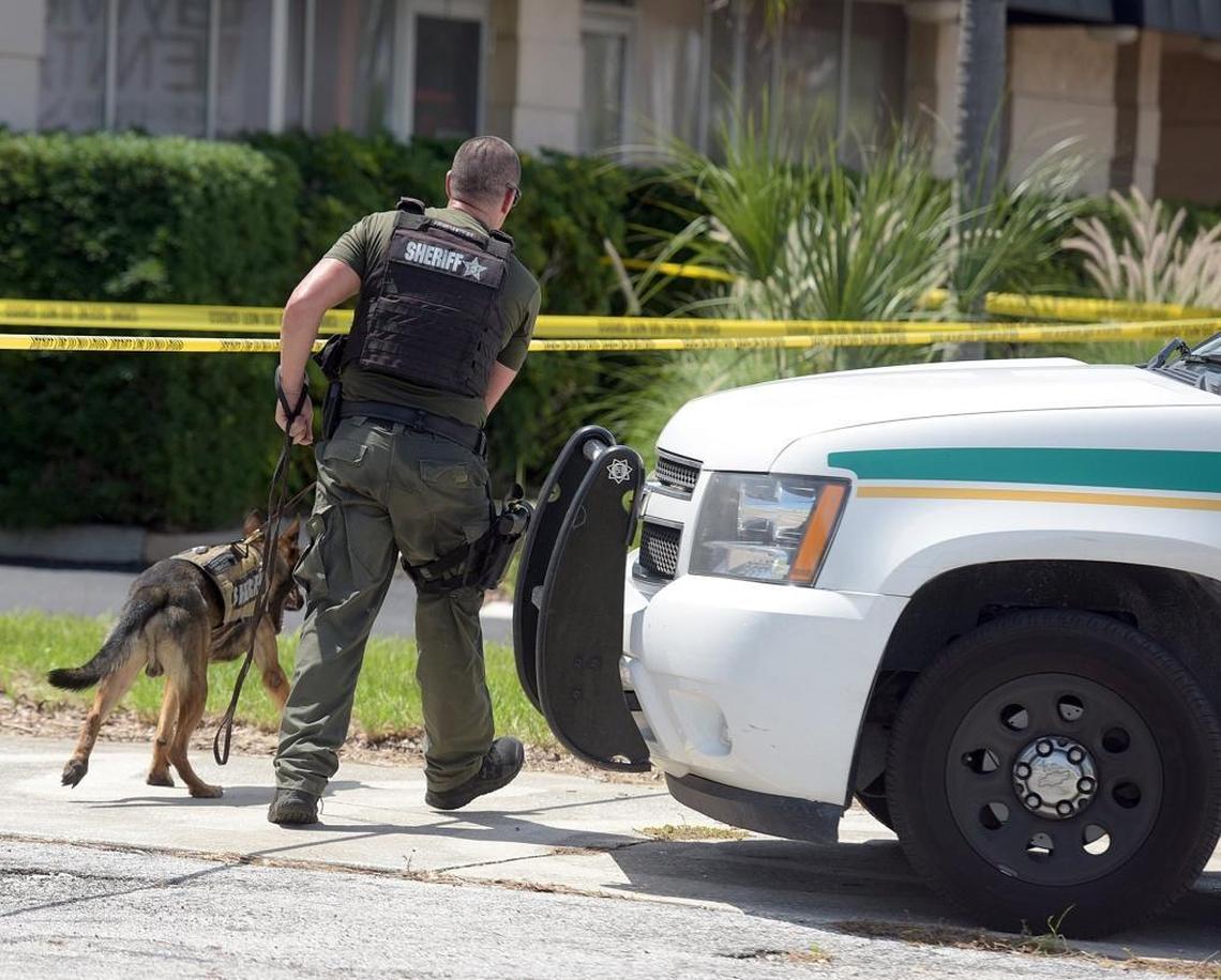 A K-9 officer from the Manatee County Sheriff’s Office investigates at the scene of an apparent homicide Thursday afternoon behind a business on U.S. 41 north of the Sarasota Bradenton International Airport.
