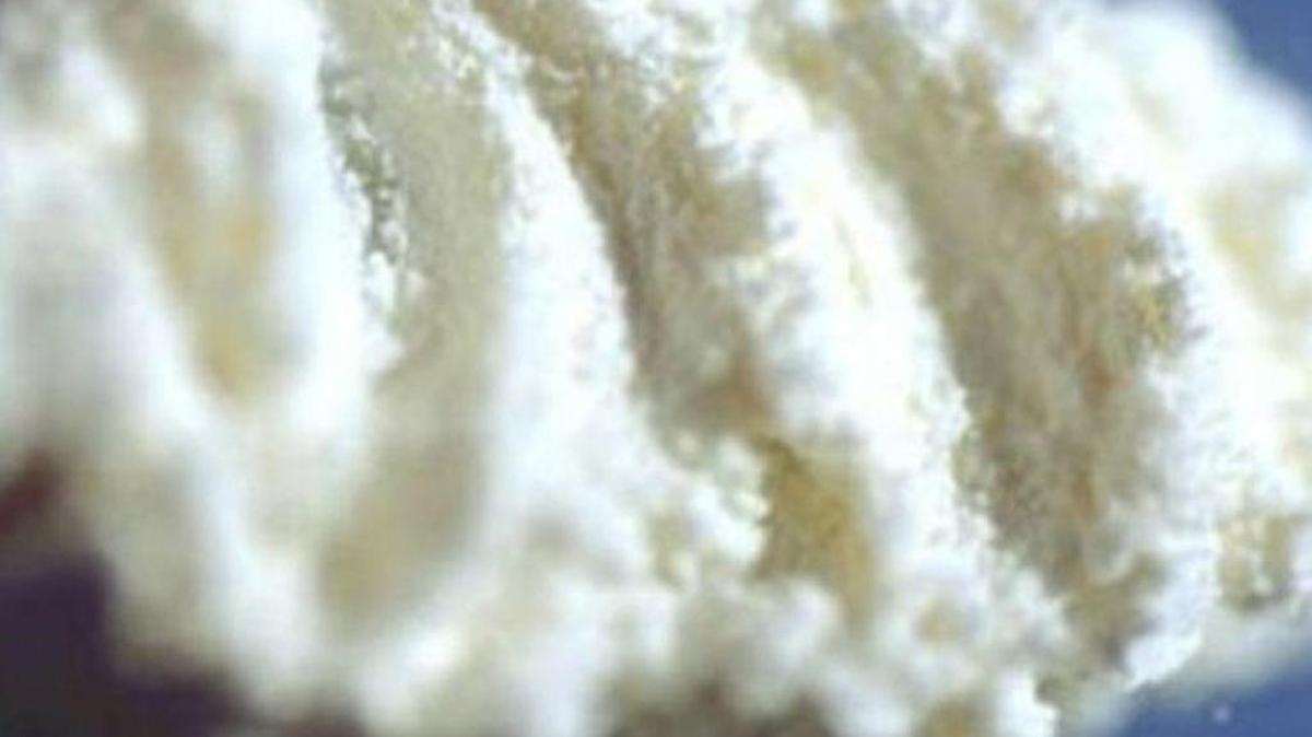 Federal agents say a man flew more than 2 pounds of cocaine from the Bahamas to Florida Jan. 23, 2021, with the intent of selling the drugs in the Florida Keys.