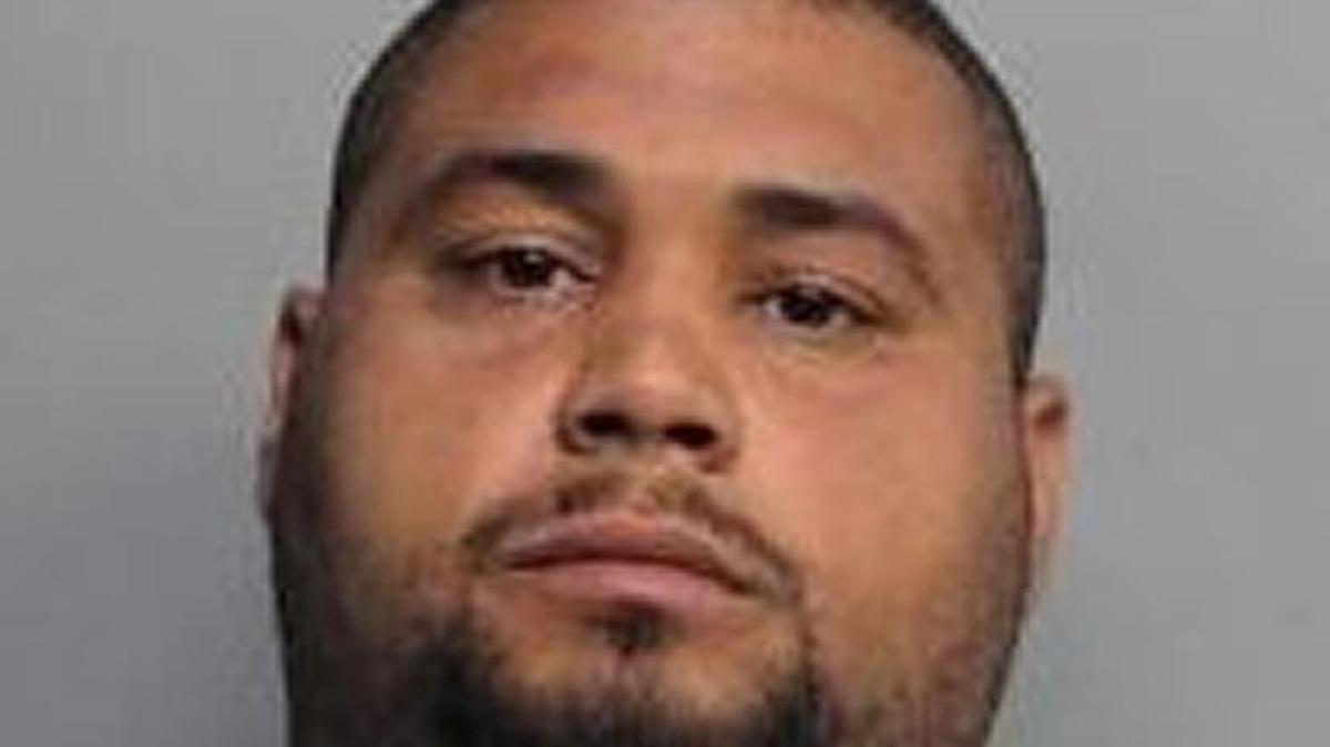 Michael Palermo, 30, pled guilty to four charges in federal court.