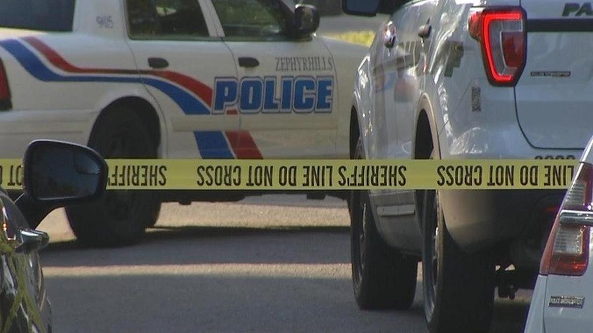 Police said two men walked onto the unnamed officer's property and fired multiple rounds into the officer's police vehicle in the driveway.