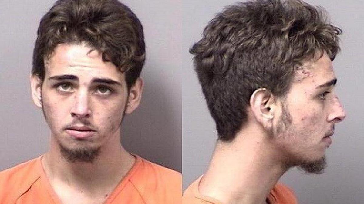 Brandon Rehm, 19, charged with resisting an officer without violence, battery on a person of 65 or older, abuse of an elderly person or disabled adult and burglary with battery.