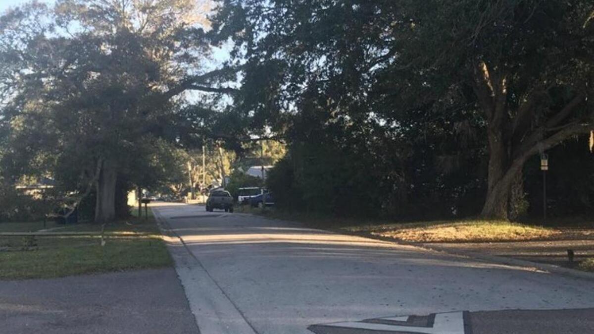 A shooting that killed a 30-year-old Palm Harbor woman happened about 8:30 p.m. Sunday night in the 1500 block of Scranton Avenue.