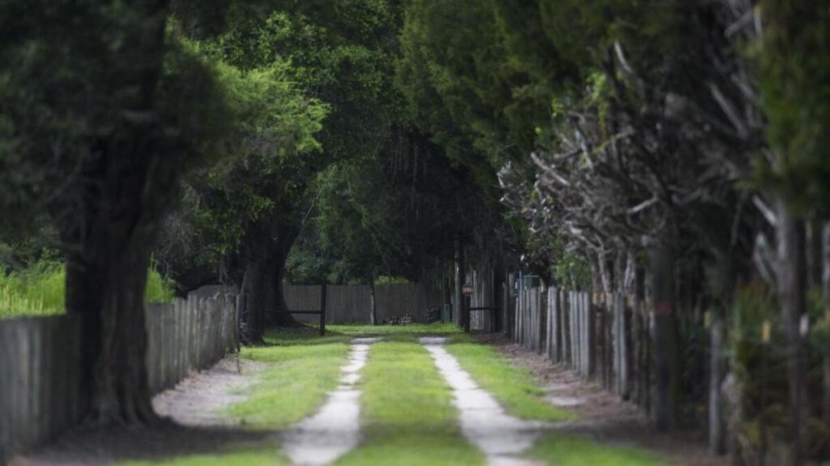 A road leads to the east Manatee County home where a Dwayne Larry Hutchinson, 54, was killed during a home invasion early Saturday morning, according to Manatee County Sheriff’s Office.