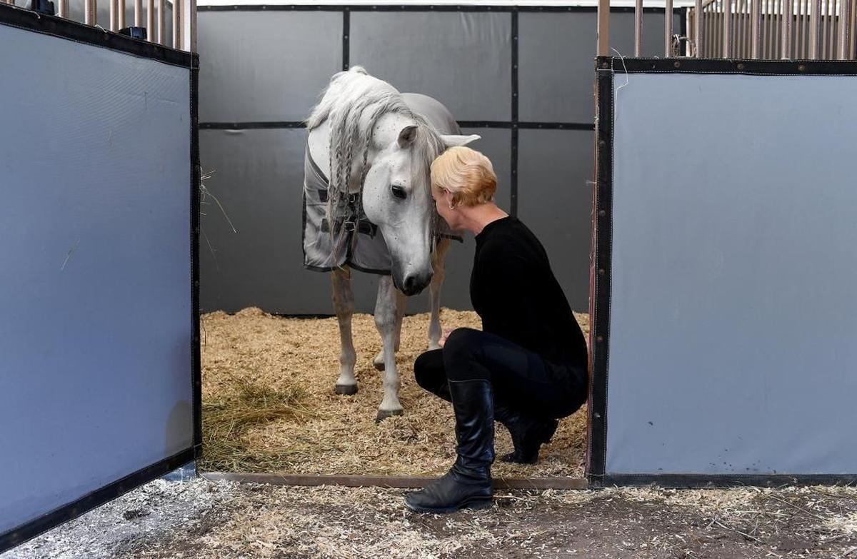 Sylvia Zerbini with one of her 12 performing horses, Bebe in the traveling stables set up behind the tent during a rehearsal of Circus Sarasota's show Tuesday. The performances are set to open Friday in the tent behind the UTC Mall.