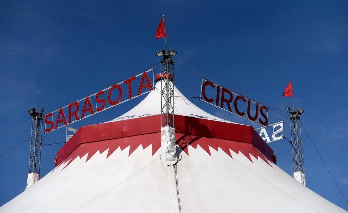 Circus Sarasota's flags blow in the breeze Tuesday. The performances are set to open Friday in the tent behind the UTC Mall.