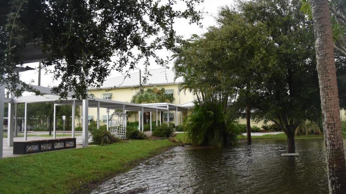 The "Peace Garden" at Anna Maria Island Elementary is submerged as schools are closed for a second day due to Tropical Storm Hermine.