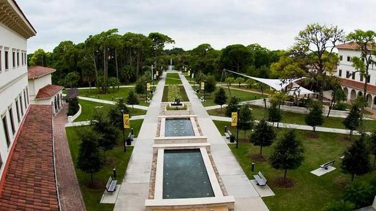 The University of South Florida Sarasota-Manatee will be offering training for computer science teachers this summer, thanks to a grant from Google.