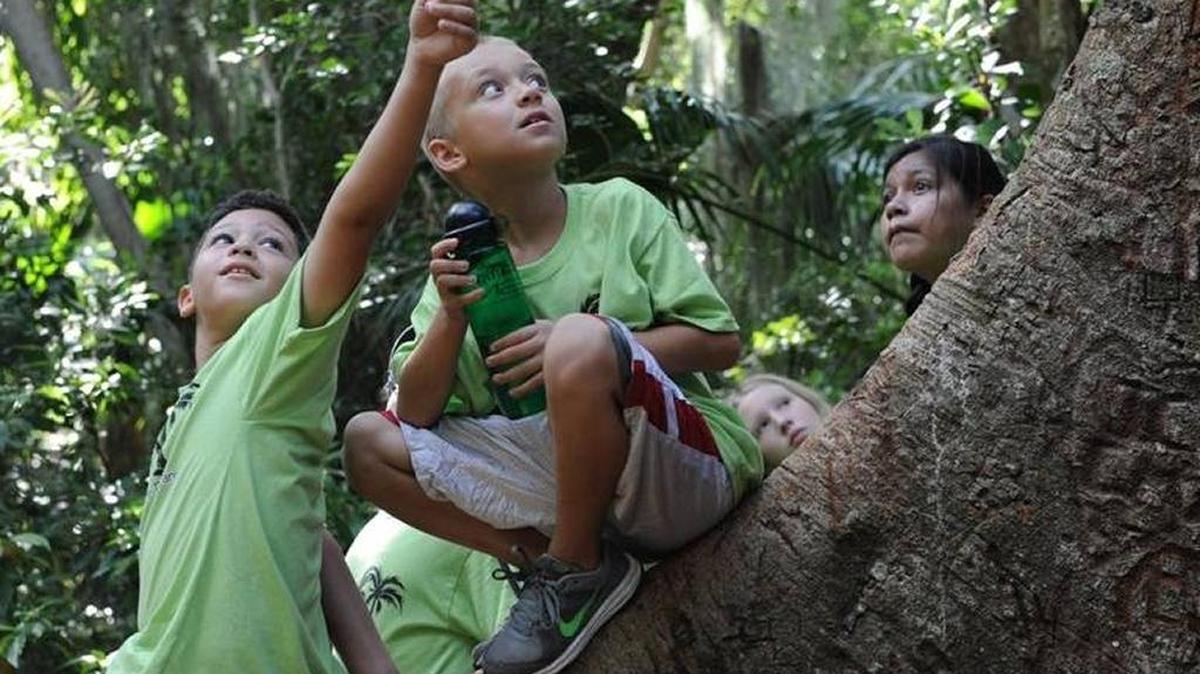 Malakhi Moore and Miguel Estevez look at wildlife as students in the district’s summer camp S.N.A.P. program visit Emerson Point Preserve last summer.
