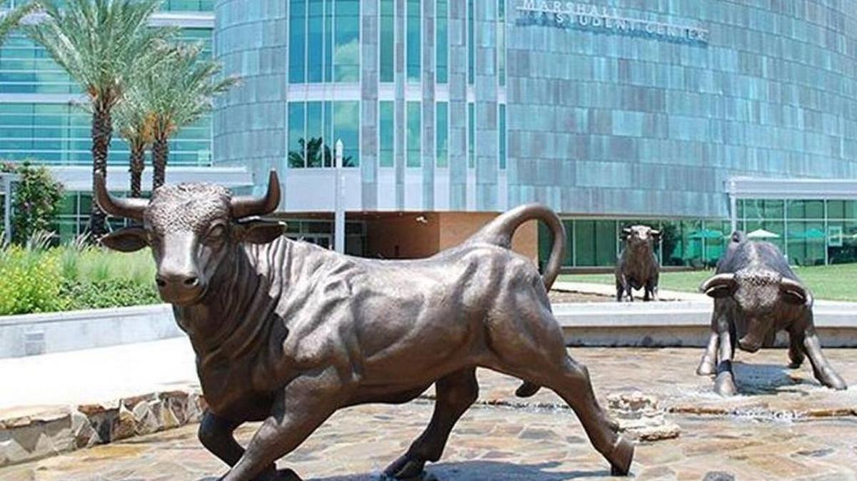 Lawmakers are slated to discuss a proposed revision to a bill Wednesday that could consolidate accreditation between three University of South Florida campuses.