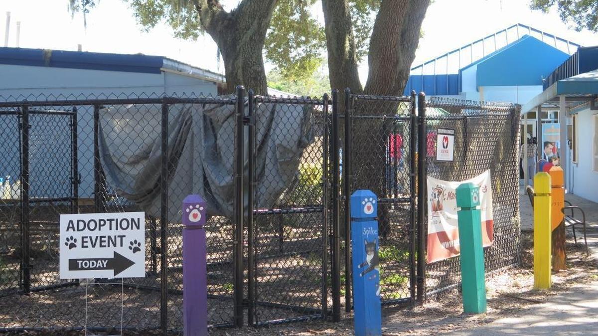 The Manatee County Animal Services shelter in Palmetto.