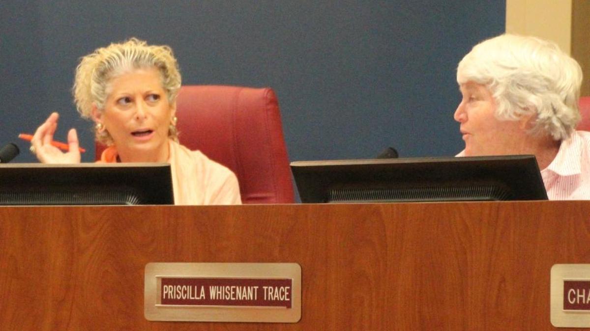 Manatee County Commissioners tried to understand the boatel concept during their land-use meeting on Thursday. Shown above are Robin DiSabatio, left, and Priscilla Whisenant Trace.