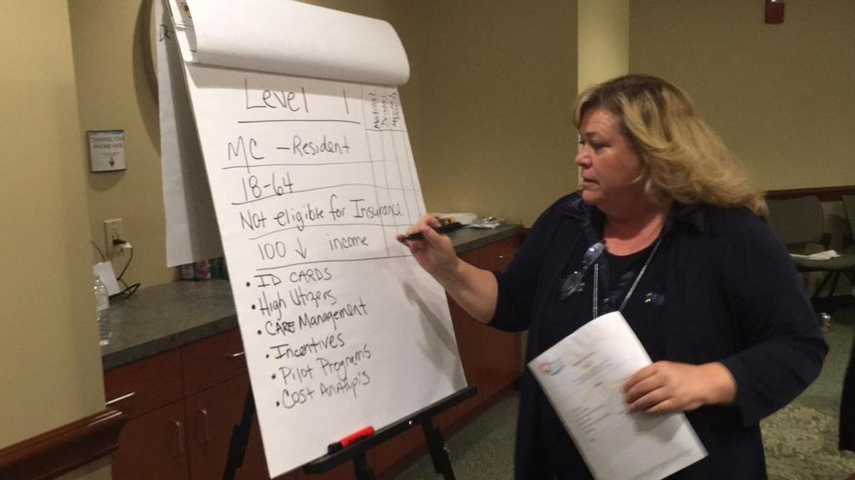Manatee County's Cheri Coryea writes down ideas from the Manatee Healthcare Advisory Board during July's breakthrough meeting in the administration building. As indicated on Coryea's sheet, the board came up with a proposal for a new criteria for indigent health care eligibility, which is 100 percent or below the federal poverty level.