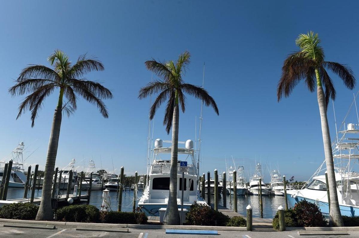 Boats sit in the tranquil waters of Galati Yacht Basin on Anna Maria Island.
