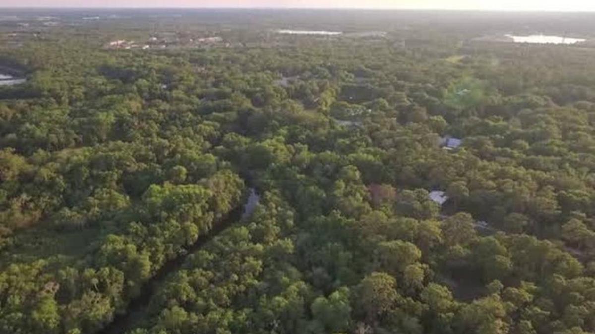 A 33-acre plot of woods in East Manatee is one step closer to being saved from development and turned into a county park.
