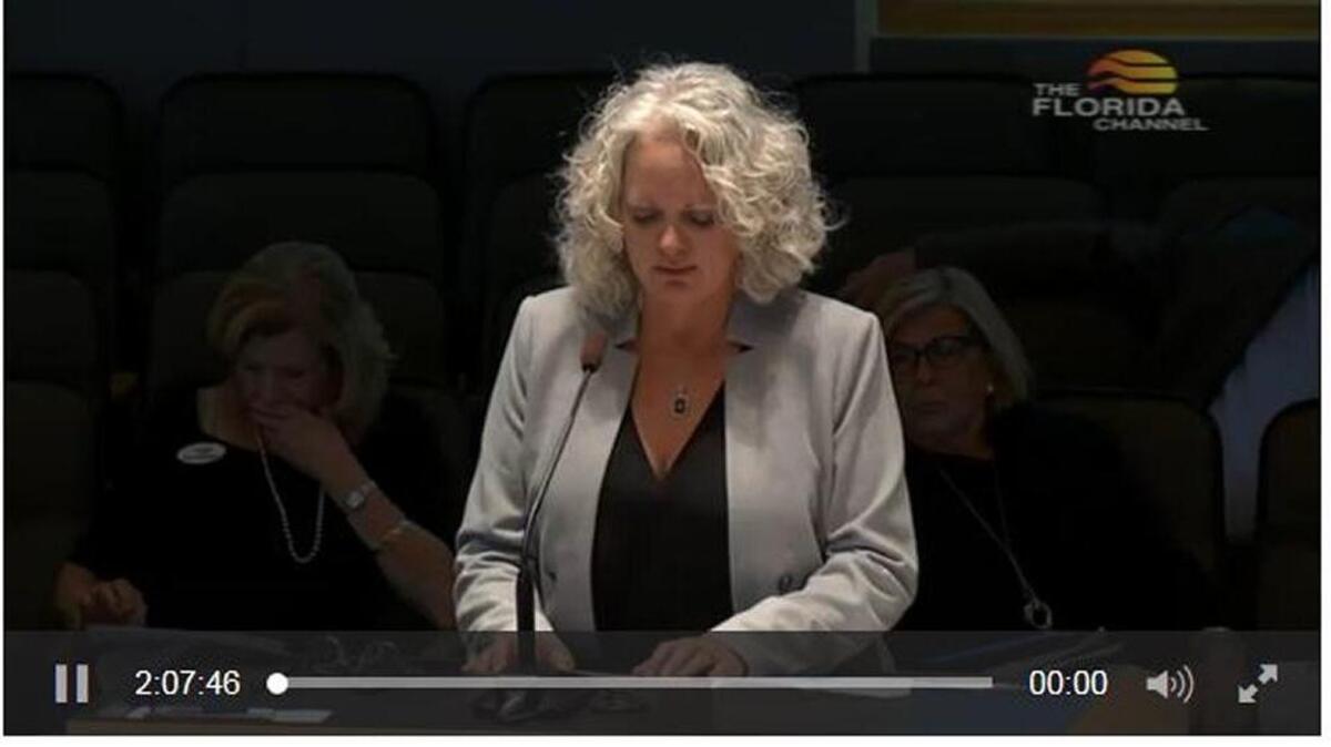 Centerstone of Florida CEO Melissa Larkin-Skinner addressed the Florida Senate Appropriations Committee Thursday asking for funding for the opioid epidemic.