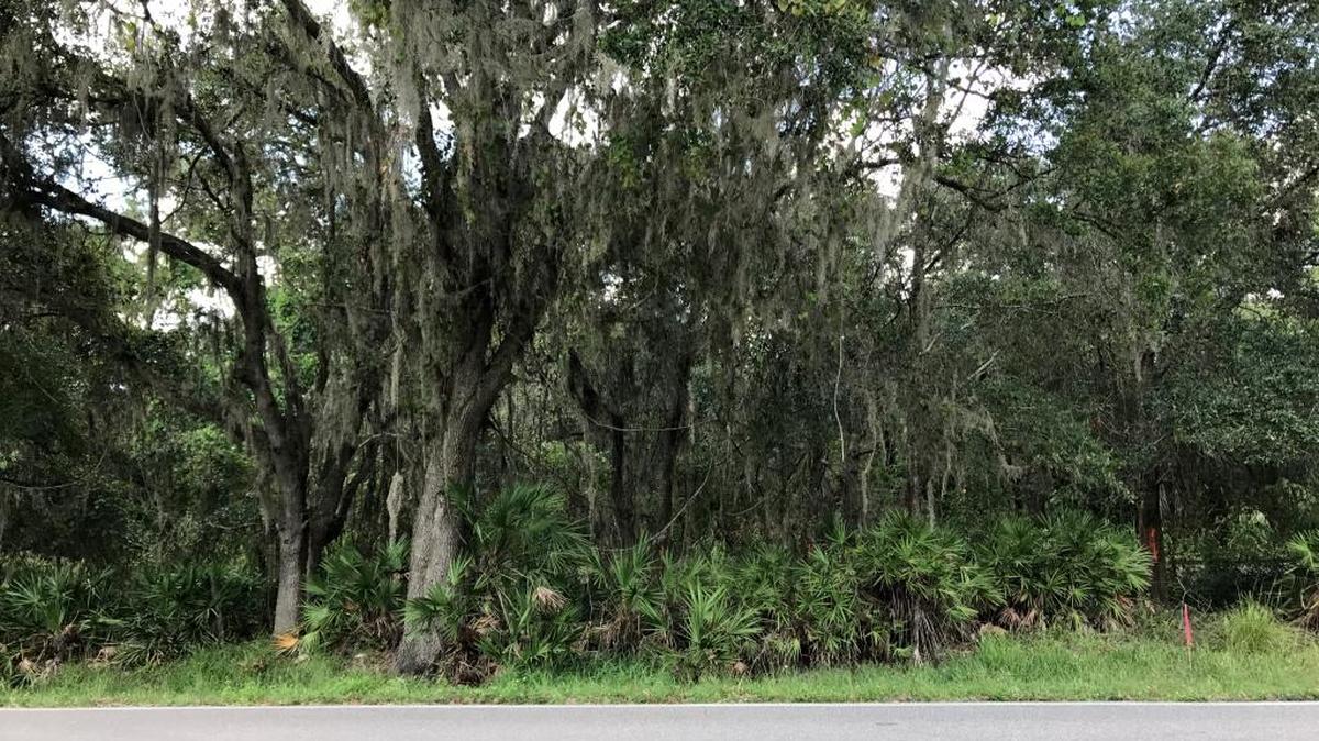 SCF has purchased a heavily forested site at 11680 Erie Road for a proposed Parrish campus. The site is located across the street from the planned North River High School.