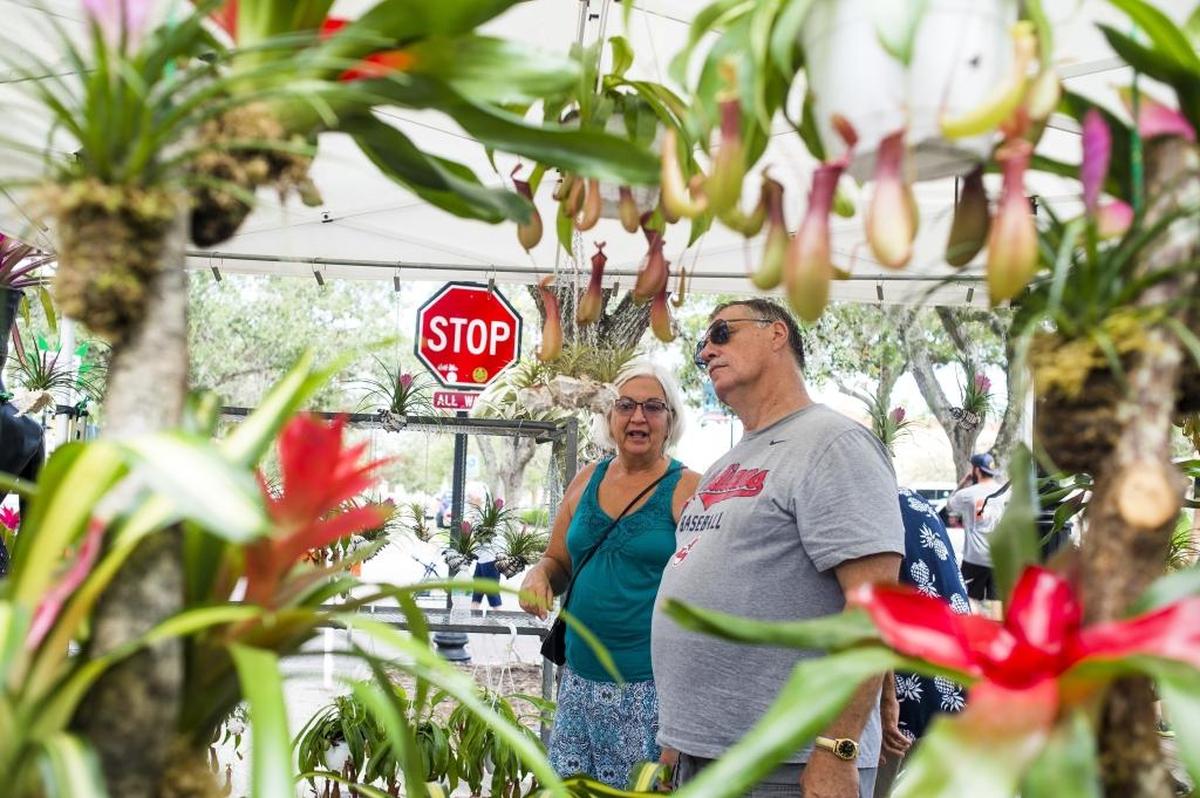 Customers browse decorative plants at the Bradenton Farmers’ Market on Old Main Street in downtown Bradenton.