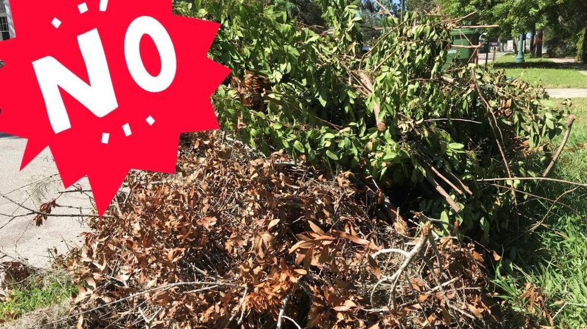 A homeowner in the city of Sarasota placed normal yard waste with Irma-related storm debris at the curb. To be reimbursed by FEMA, the piles must be separate.
