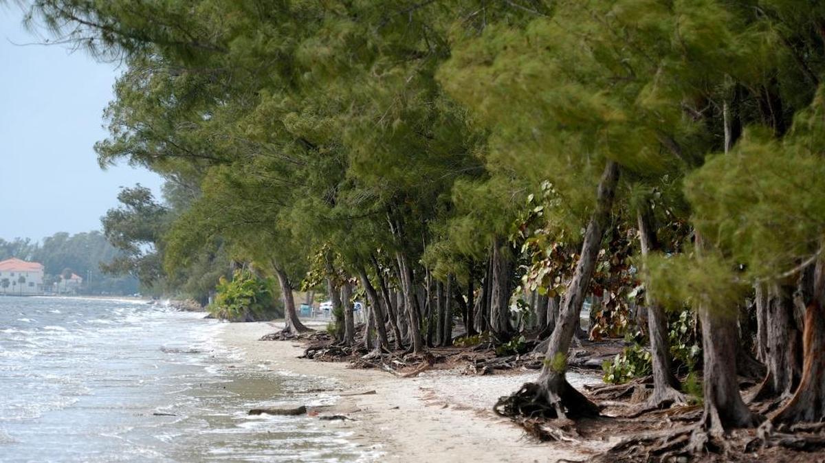 The Florida Department of Health in Manatee County has lifted the no-swim advisory it put out last week at Palma Sola Bay due to enterocci bacteria concerns.
