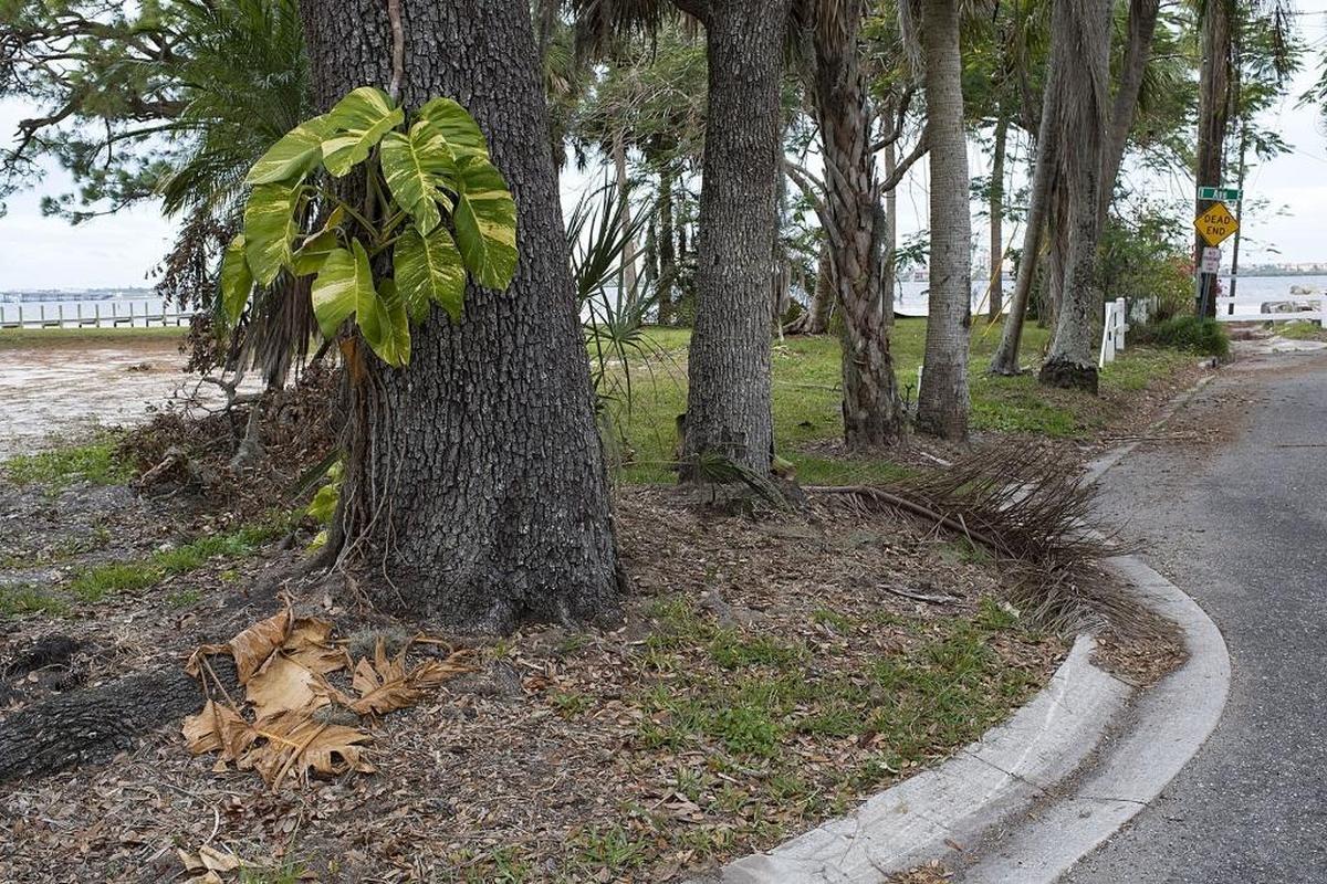 The site where Realize Bradenton is making plans to extend Bradenton’s Riverwalk, just north of Manatee Mineral Springs Park.
