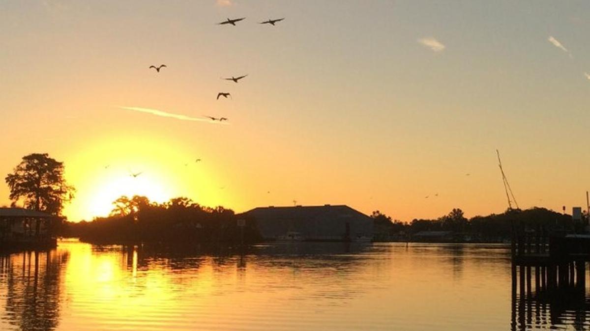 Beautiful sunrise Thursday, over Pete’s Pier on Kings Bay.