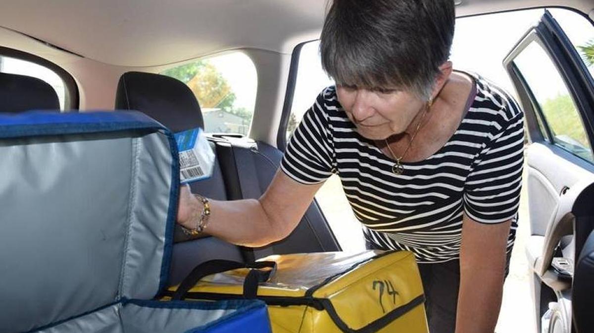 Kendra Holt, a volunteer with Meals on Wheels, delivers meals to Palmetto residents in this file photo.