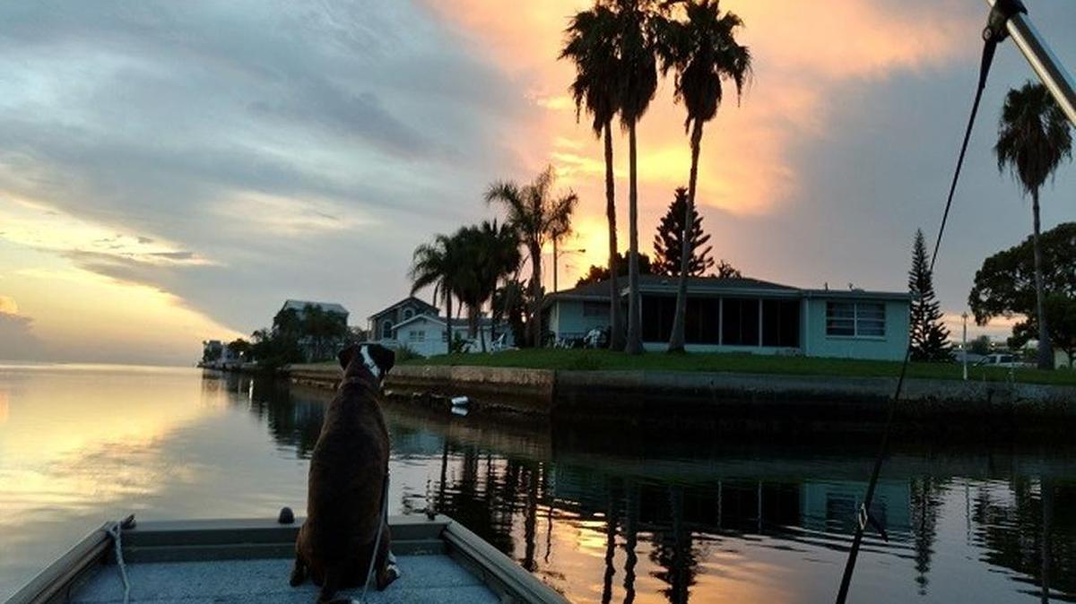 Bob Anderson out with his dog, Jabba, on a sunset cruise.