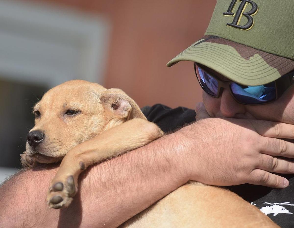 Andrew Rowe gets emotional while holding the puppy he fostered until National Guardsman Bridget Burch traveled from New York to be reunited with the puppy she fell in love with while deployed in St. Croix after Hurricane Maria. Burch reunited with Dominica at Nate's Honor Rescue Wednesday.